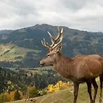 Auf Niedersehen - 8 Personen - Kitzbueheler Alpen - Hoehe Tauern Np *