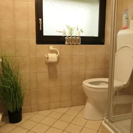 Auf Niedersehen - 8 Personen - Kitzbuehler Alpen - Hoehe Tauern Np 홀레르스바흐 임 핀츠가우